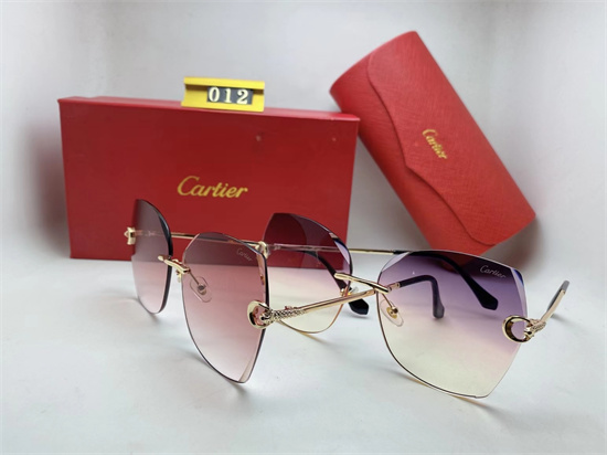 Cartier Sunglass A 060